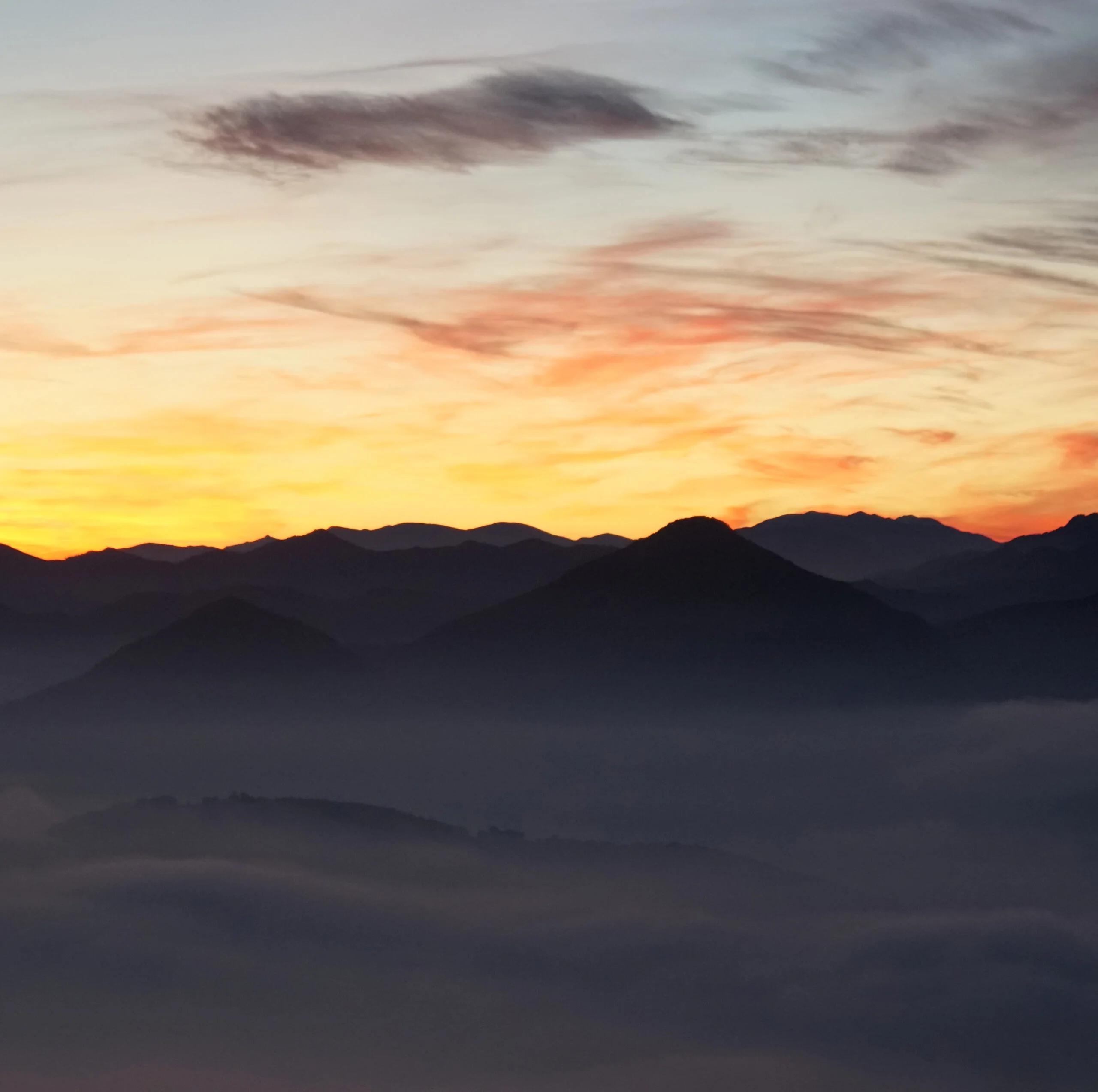 Unternehmensgeschichte AMAVEN GmbH - Amazon Market Services